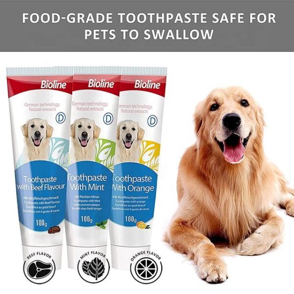 Beef Flavor Dog Toothpaste